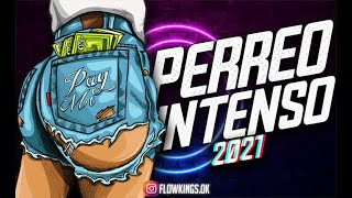 PERREO INTENSO 2021🔥 😈 TU JODA  ENERO 😈 FLOW KINGS [upl. by Lucie762]