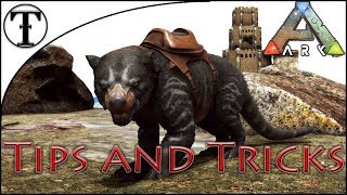 Fast Thylacoleo Taming Guide  ARK  Survival Evolved Tips and Tricks [upl. by Toms]