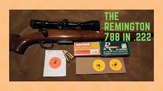 The Remington 788 in 222 [upl. by Ahseim195]