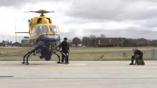 PSNI Dog Section amp Air Support Unit Training for G8 [upl. by Werdnael319]