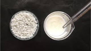 Isolation of Casein Protein from Milk  Casein Protein Isolation How to Isolate Casein Protein [upl. by Zipah]