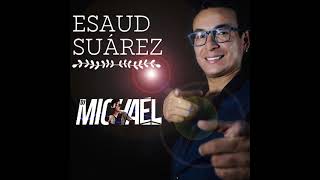 MIX ESAUD SUAREZ  DJ MICHAEL Vol 2 Duele el AmorMix EnlaceEmbrujo amp Más [upl. by Nagem]