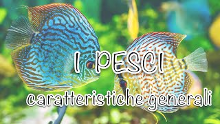 I pesci 🐠  caratteristiche generali  animali vertebrati [upl. by Doownil]