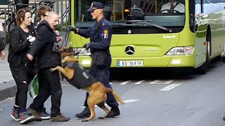 Police against anarchists in Oslo Norway [upl. by Skoorb]