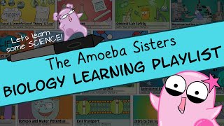 Amoeba Sisters Biology Learning Playlist Introduction [upl. by Raney]