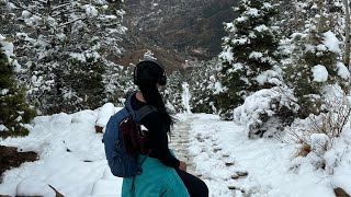 Manitou Incline Colorado Springs Colorado [upl. by Flemming]