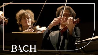 Bach  Orchestral Suite no 1 in C major BWV 1066  Sato  Netherlands Bach Society [upl. by Bethesde750]