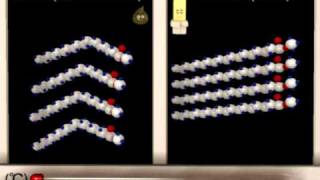 Lipid Structure Function Animation [upl. by Ahsart]