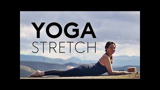 20 Minute Full Body Yoga Stretch Relax  Fightmaster Yoga Videos [upl. by Aynor429]