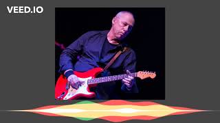 Mark Knopfler  Sultans of Swing  Isolated Guitar Track [upl. by Hally864]