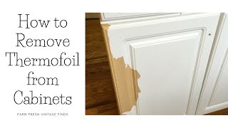 How to Remove Thermofoil From Cabinets [upl. by Mazonson]