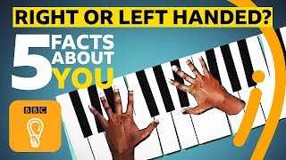 Right or lefthanded 5 facts about you  BBC Ideas [upl. by Yraht]