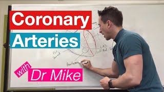 Coronary Arteries  Cardiology [upl. by Llenrrad]