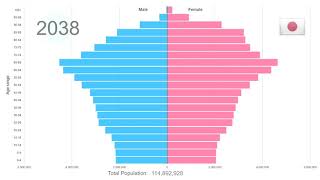 Japan Population Pyramid 19502100 [upl. by Millisent]