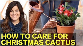 How to Care for Christmas Cactus 🌵🎄  Garden Answer [upl. by Lamok140]