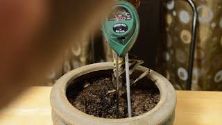 3 Way Soil Meter Test For Moisture Light And PHAcidity Gardening Tool [upl. by Emyam]