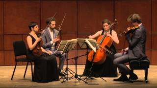 Beethoven String Quartet Op 132 in A Minor  Ariel Quartet full [upl. by Gillead781]