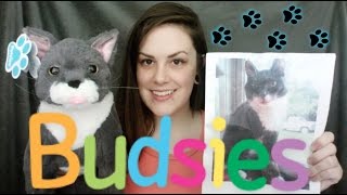 Petsies by Budsies Unboxing [upl. by Sammy]