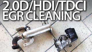 20HDi 20TDCi 20D EGR valve cleaning [upl. by Kcinnay]