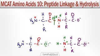 How to reconstitute peptides and calculate doses [upl. by Elmajian688]