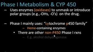 Phase I Metabolism  Pharmacology Lect 7 [upl. by Helprin]