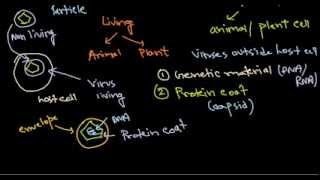 1 virus structure introduction [upl. by Manlove502]