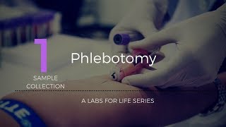 Phlebotomy [upl. by Naerol]