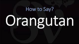 How to Pronounce Orangutan CORRECTLY [upl. by Notsgnik924]