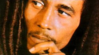 The Life and Career of Bob Marley [upl. by Hendrickson935]