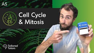 Cell Cycle amp Mitosis  A Level Biology Tutorial  OCR [upl. by Ahsiekahs763]