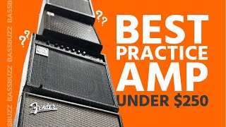 Best Beginner Bass Amp Group Review [upl. by Fem]