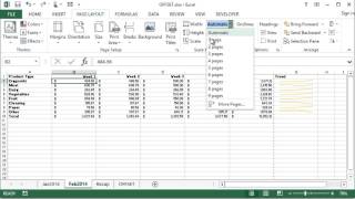 Microsoft Excel  Print Scaling [upl. by Annairol364]