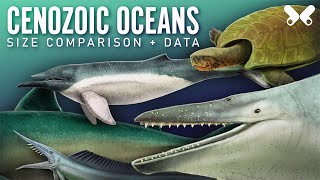 Aquatic animals of the Cenozoic Size comparison paleoart [upl. by Kcirdef]