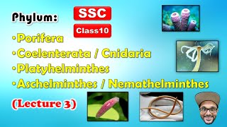 Animal Classification Lecture 3  Phylum 14  Class 10  SSC  Maharashtra state board [upl. by Thisbe]