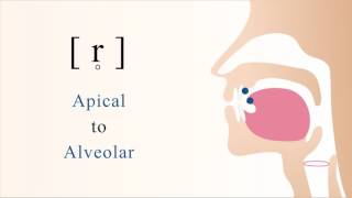 r̥  unvoiced apical alveolar trill [upl. by Pears35]