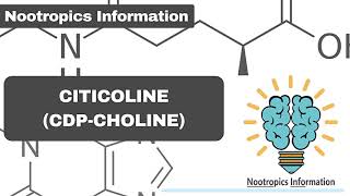 Citicoline amp CDPcholine  Nootropics Information [upl. by Avevoneg924]