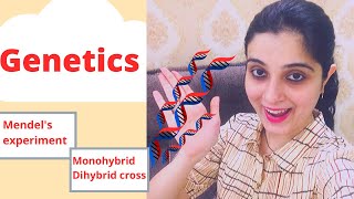 Genetics Revision Class 10 ICSE Biology Chapter 3Mendels experiment Monohybrid Dihybrid Cross DRUB [upl. by Alysa841]