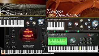 Duro Samples  GuiraTambora Dominicana  Producers Vault Caribbean Keys  Metales VST [upl. by Tija]