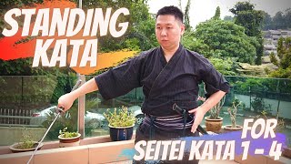 Seitei Kata 1  4 standing  an alternative way to grade for Seitei Howto Seitei [upl. by Tnerb378]