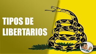 Tipos y Diferencias de Liberales y Libertarios [upl. by Akram198]