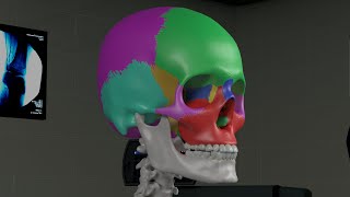 Chapter 1 Basic Sinus Anatomy [upl. by Ahsinav]