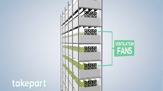 Vertical Farms  Design and Innovation  TakePart [upl. by Enilorak]