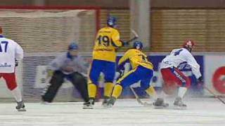 Sweden grabs World Bandy Championship [upl. by Dietsche231]