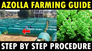 Azolla Farming  Azolla Cultivation  How to grow Azolla in HDPE Pond [upl. by Nosilla]