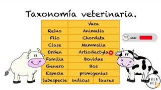 Taxonomía Veterinaria [upl. by Hpesojnhoj]