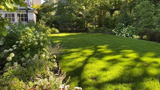 🌱 Open Lawn Garden Tour  Privacy Hedge  Y Garden 🌱 [upl. by Nur]