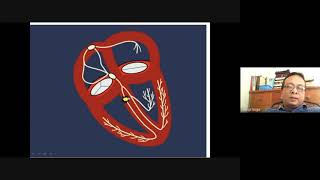 Bifascicular Block [upl. by Akirrehs]