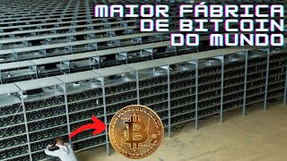 Maiores Mineradoras de Bitcoin do Mundo [upl. by Elak628]