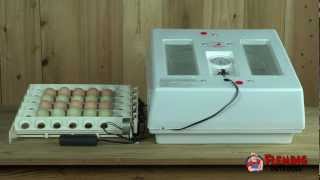 Professional Egg Incubator Kit With Turner [upl. by Esilrac]