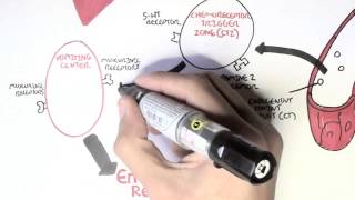 Physiology of Vomiting [upl. by Giamo]